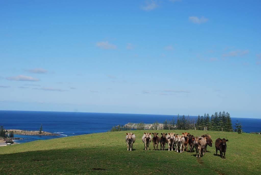 Апартаменти Coast Norfolk Island Бернт-Пайн Екстер'єр фото